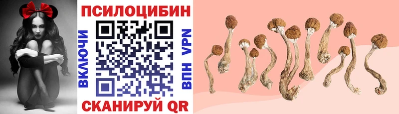 сколько стоит Архангельск Галлюциногенные грибы Cubensis